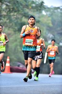 BIB: 26282, 052
                            <button type="button" onclick="openModal(10122677)" class="btn btn-primary btn-sm float-right btn-popup" data-toggle="modal" data-target=".modal-high-quality">
                        <i class="fas fa-shopping-cart"></i> Add to Cart
                    </button>
                                            <button type="button" onclick="isThisMe(10122677, true)" class="btn btn-success btn-sm float-right btn-popup btn-isme hidden" data-toggle="tooltip" data-placement="bottom" title="นี่คือรูปของคุณใช่ไหม คลิกที่นี่เพื่อเอาเข้าอัลบั้ม">
                        <i class="fas fa-plus"></i> Add to album
                    </button>
                    <button type="button" onclick="isThisMe(10122677, false)" class="btn btn-warning btn-sm float-right btn-popup btn-isnotme hidden">
                        <i class="fas fa-ban"></i> Remove from album
                    </button>